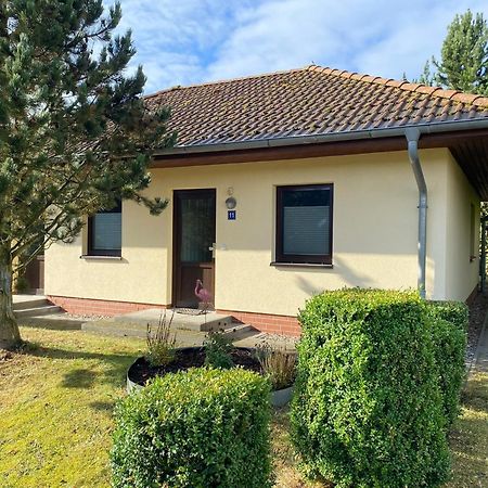 Ferienhaus Vogelmeer Marlow Eksteriør billede